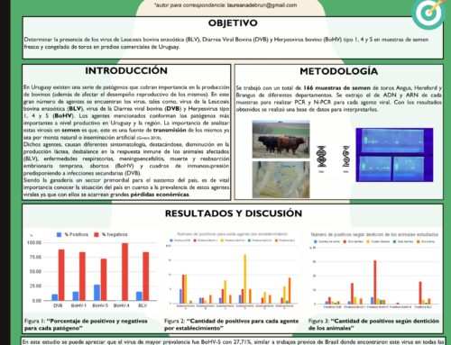 Detección de virus de importancia productiva en semen bovino utilizados en Uruguay